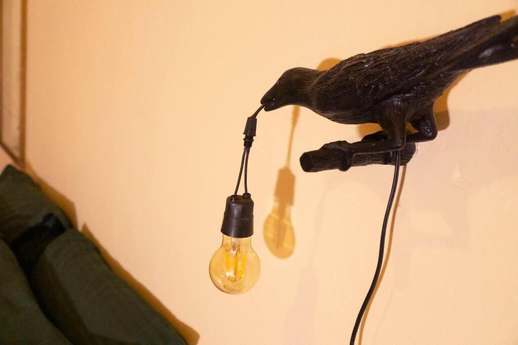 Aconchegante No Centro De Apartamento